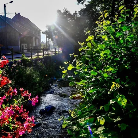 Les Jonquilles * Mittlach
