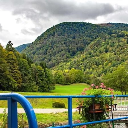 Les Jonquilles * Mittlach