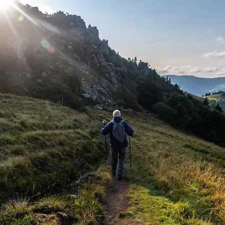 Vakantiehuis Les Jonquilles