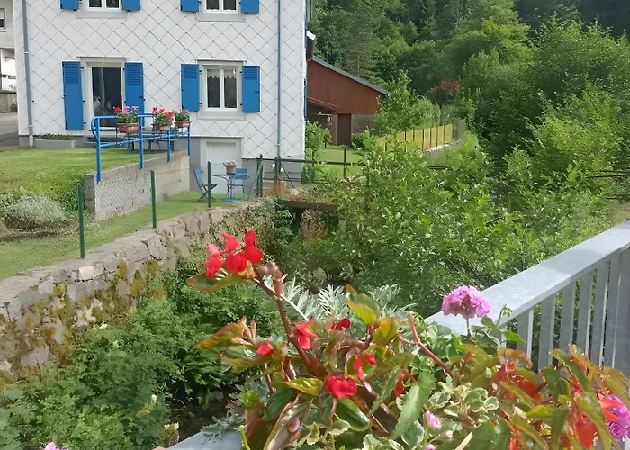 Vakantiehuis Les Jonquilles *