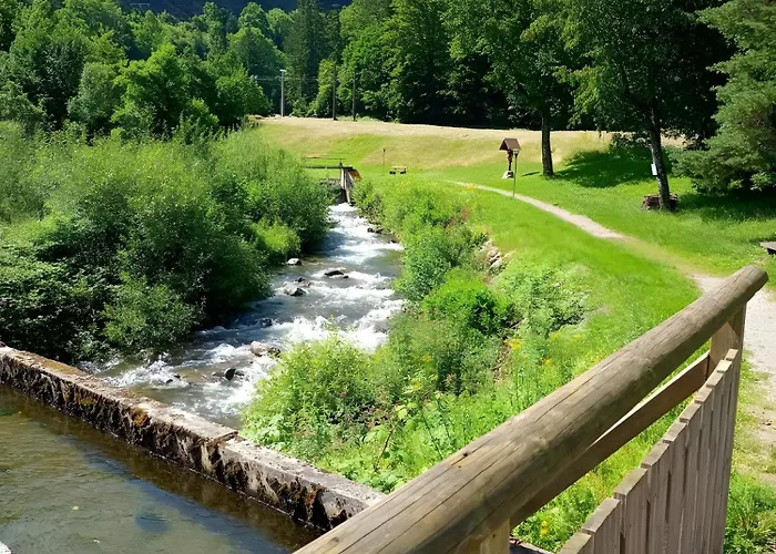 Les Jonquilles * Mittlach