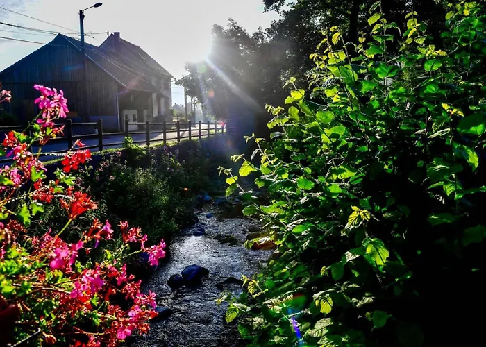 Les Jonquilles * Mittlach