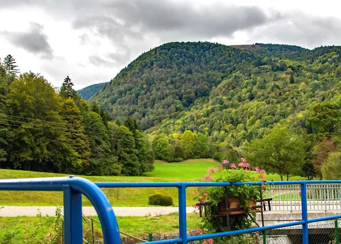 Les Jonquilles * Mittlach